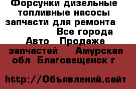 Форсунки дизельные, топливные насосы, запчасти для ремонта Common Rail - Все города Авто » Продажа запчастей   . Амурская обл.,Благовещенск г.